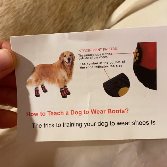 Doggie shoes- size 5 with rubber soles - Picture 13 of 15